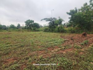 𝗧𝗘𝗥𝗥𝗔𝗜𝗡 𝗔 𝗩𝗘𝗡𝗗𝗥𝗘 𝗔𝗨 𝗕𝗢𝗥𝗗 𝗗𝗨 𝗚𝗢𝗨𝗗𝗥𝗢𝗡